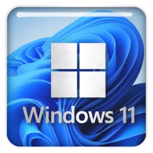 Licencia Win 11 Pro Retail